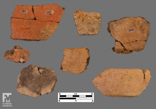 Formal artifact photo of seven sherds of various sizes and colors.