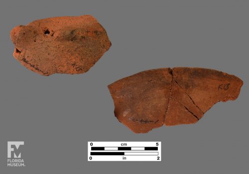 Formal artifact photo of two sherds, one is a rim sherd and the other appears to be an adorno.