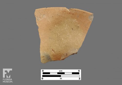 Formal artifact photo of a rim sherd.