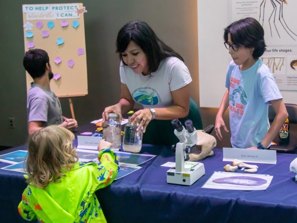 researcher shows young child items on display at the World Sea Turtle event