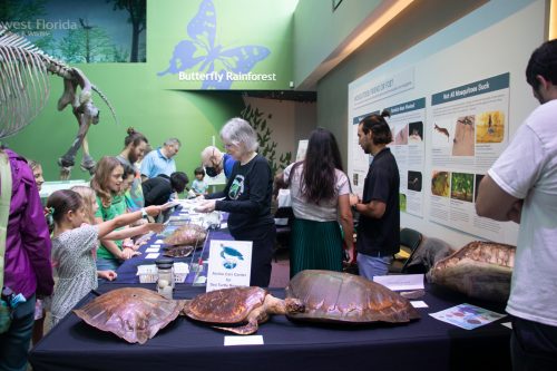 children and adults museum visitors look at items on display at the World Sea Turtle event and speak with the event educators 