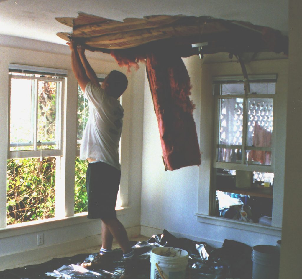 person pulls down wet insulation from a hole in the ceiling