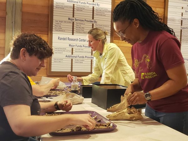 Researcher shows a volunteer an animal skull while the volunteer sorts small bone fragments.