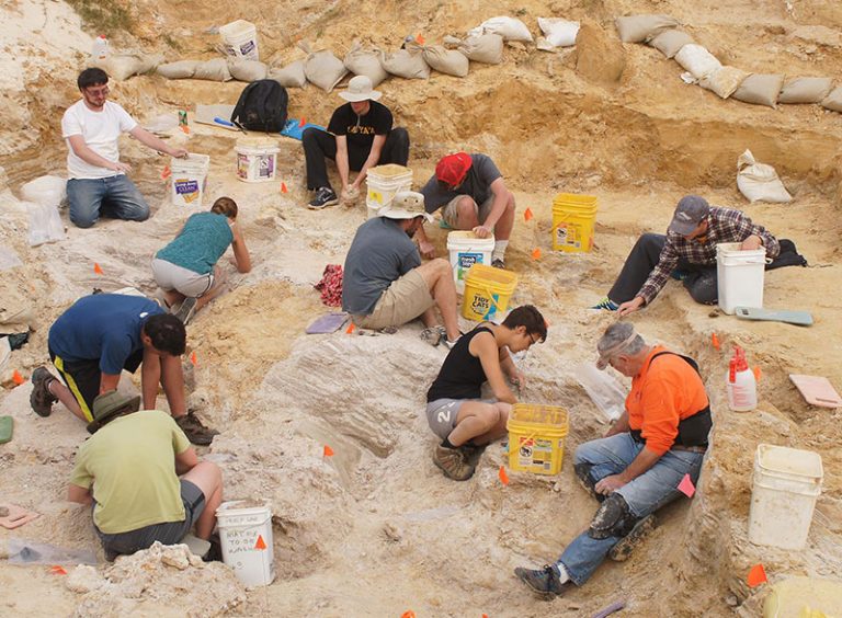 Montbrook – Florida Vertebrate Fossils