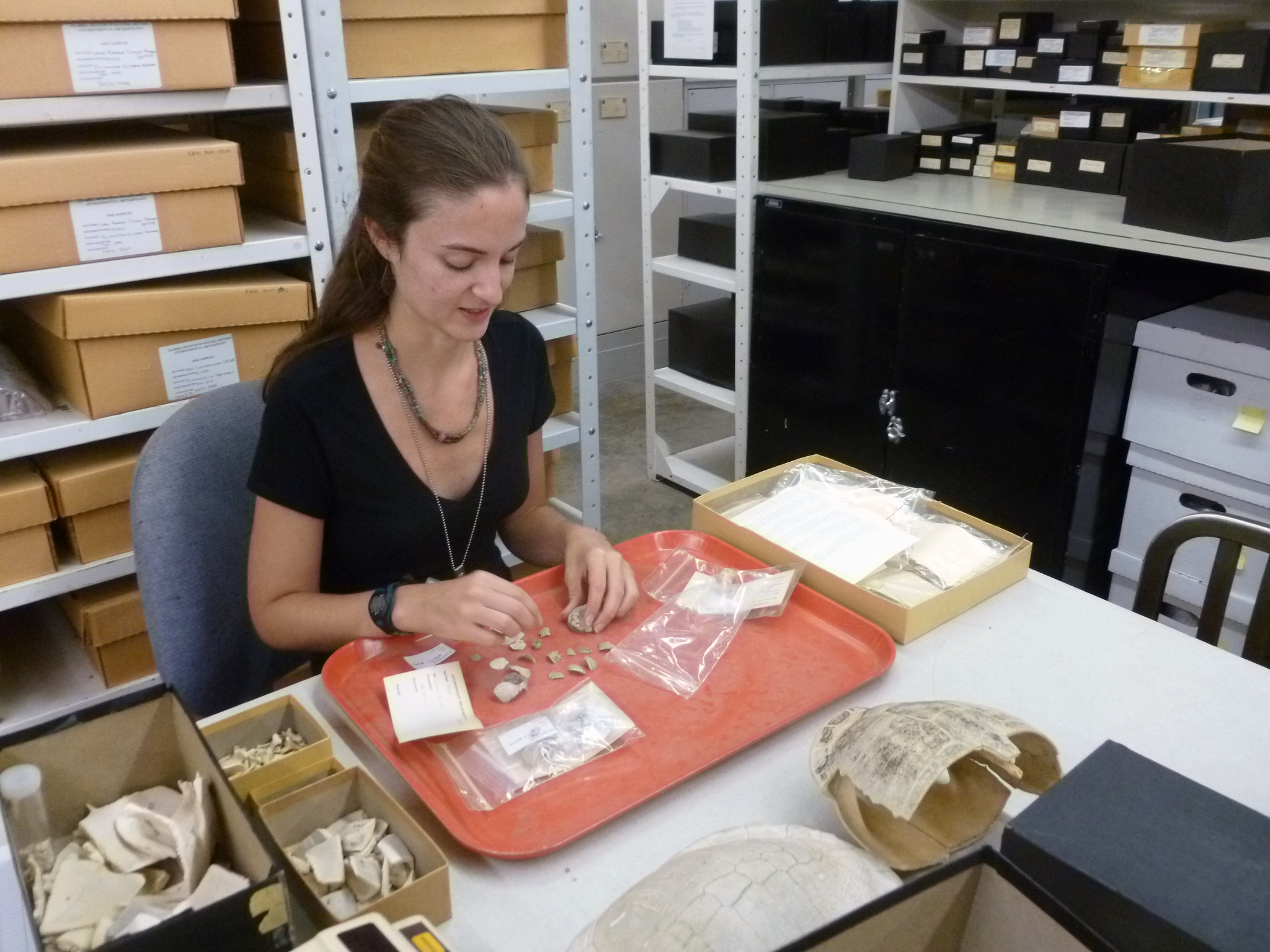 New study by Environmental Archaeology Program alumna sheds light on ...