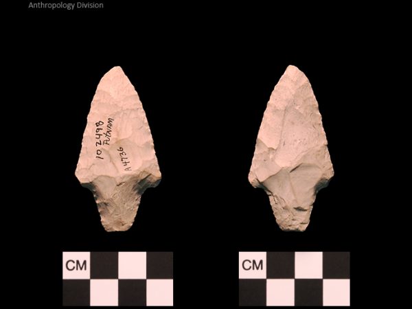 Online Authentic Hillsborough Contracting Stem Projectile Point (Batwing) - Discovered in NW Florida