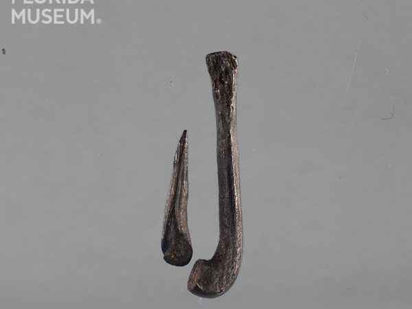 Faunal Fishhook Gallery – Florida Archaeology & Bioarchaeology