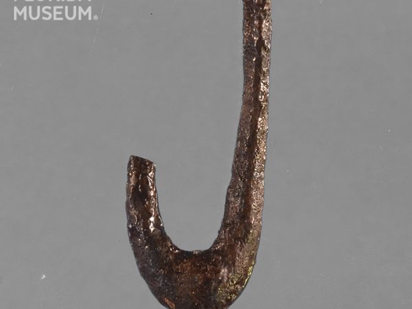 Faunal Fishhook Gallery – Florida Archaeology & Bioarchaeology