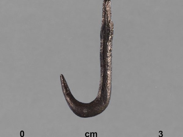 Finds of bone fishhooks from the collection (P-16808, P-16809, P-16810;