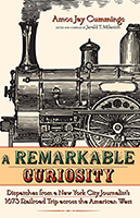 A Remarkable Curiosity book cover