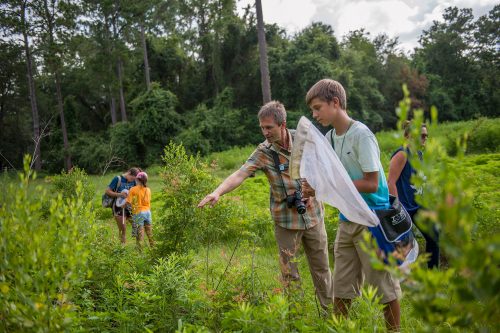 several people in an field, one is holding a long net the other is pointing towards plants