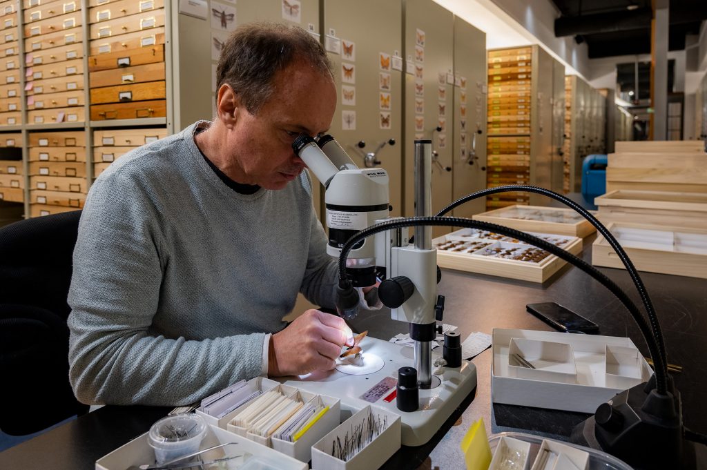 researcher looking into a microscope