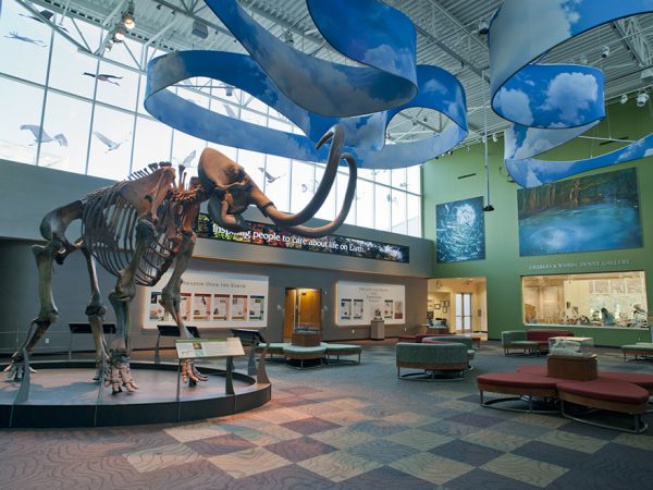 a gallery with checkerboard carpet floor, mammoth skeleton on left side and blue ribbons looking like the sky hanging from the ceiling