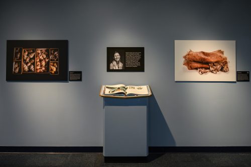 book on a podium with 3 panels on a grey-blue wall behind it