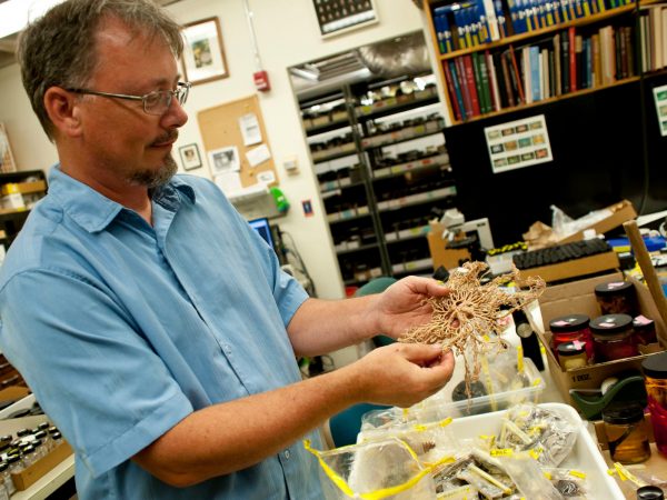 photo of collection manager John Slapcinsky holding an specimen from the museum