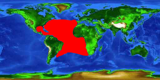 World distribution map for the blue marlin