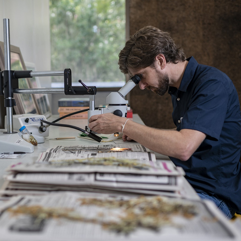 current-research-university-of-florida-herbarium-flas