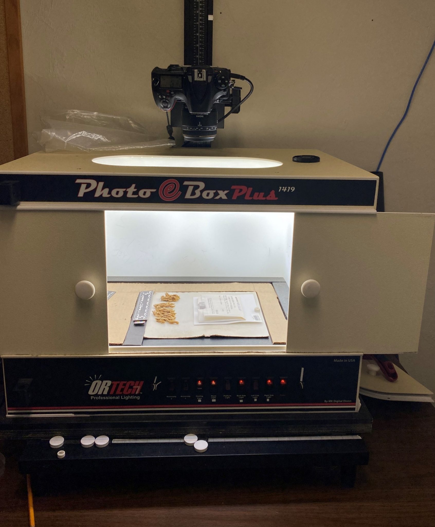 imaging-system-university-of-florida-herbarium-flas