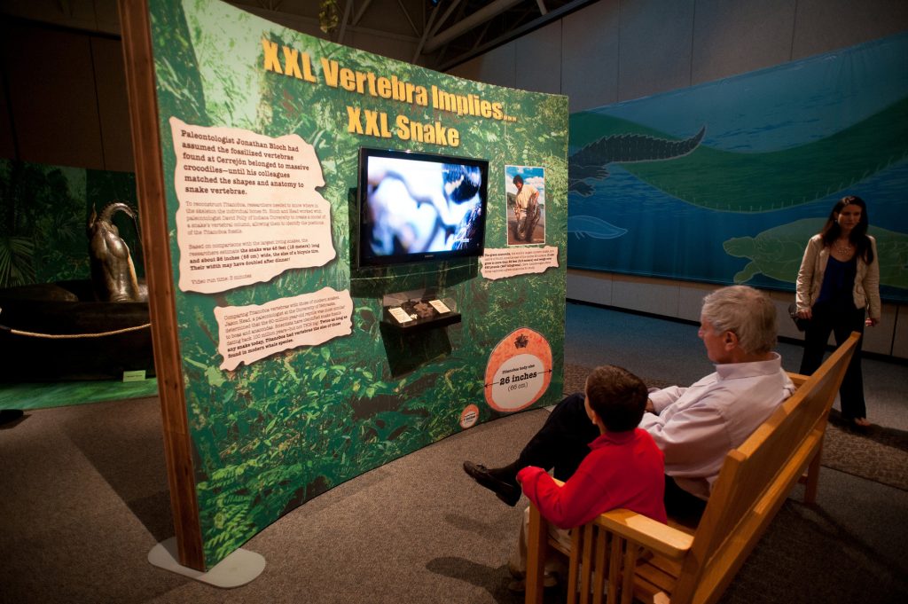 visitors sit on wooden bench in front of a display with a screen in the center. Above the screen the text reads XXL vertebra implies XXL snake