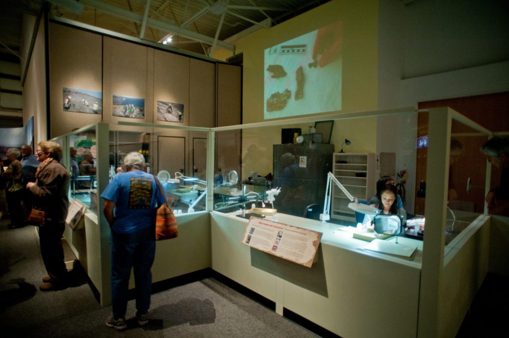 visitors look at specimens on display