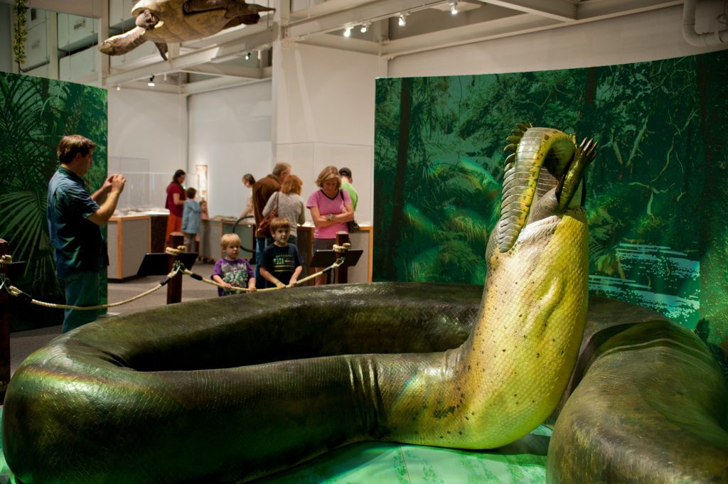 Two young visitors look at the life size model of a titanboa eating a crocodile while another visitor takes a photo of them