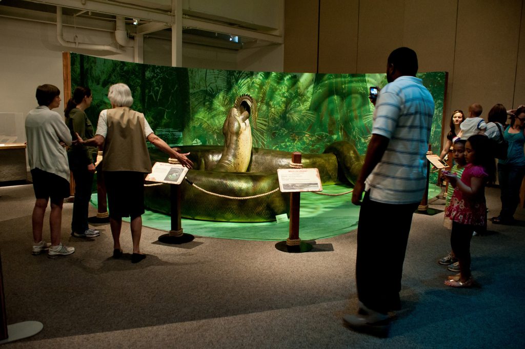 visitors stand around the life size model of a titanboa eating a crocodile