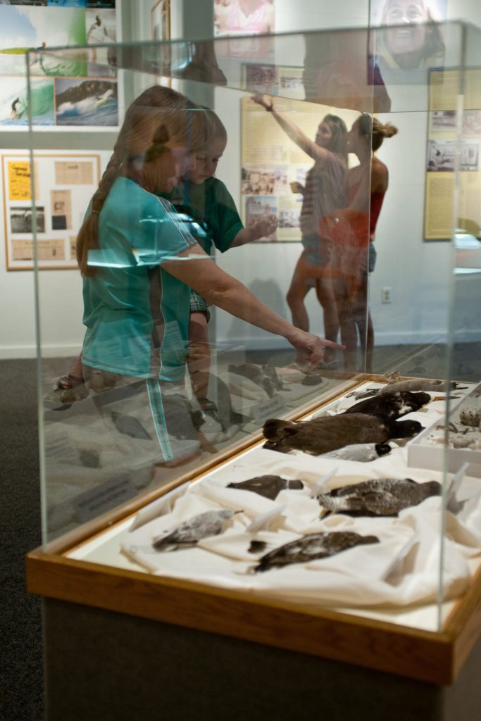 visitor with a child looks into a glass display case