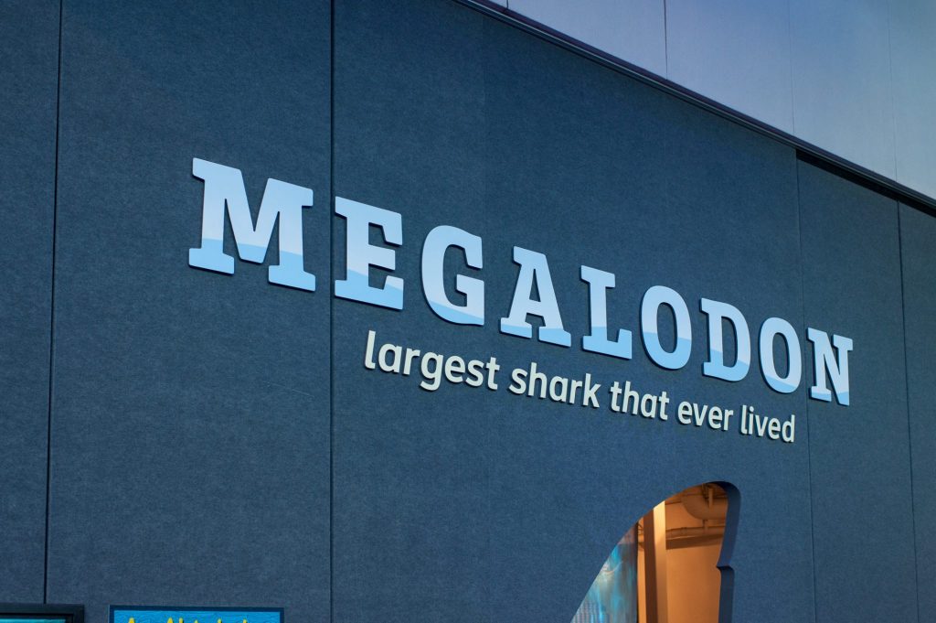 display sign reads Megalodon Largest shark that ever lived