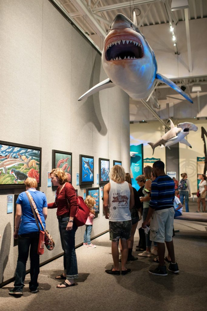 visitors looking at colorful paintings of sea life. Large models of sharks hang from the ceiling above them