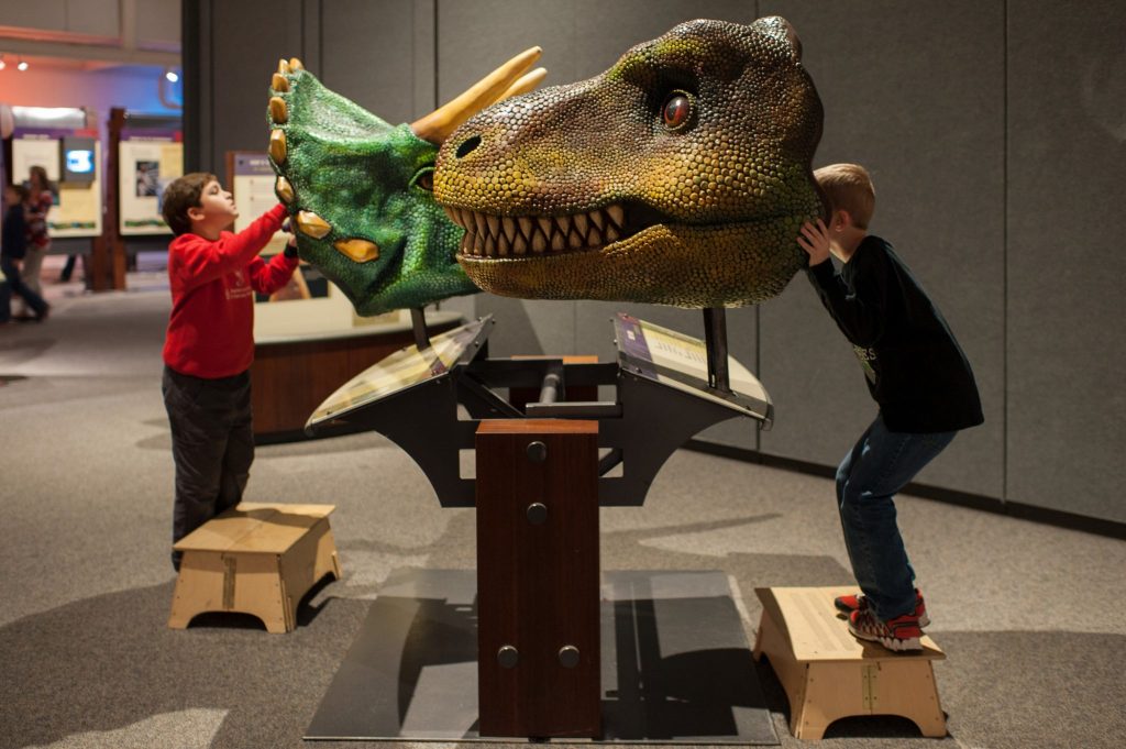 child stands on a foot stool to reach the a large dinosaur model head