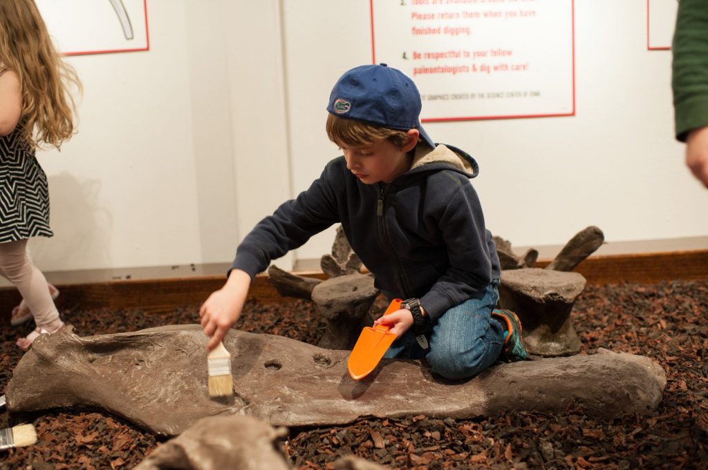 child with a gator baseball hat is holding a plastic trowel and paintbrush and sitting in the interactive fossil dig exhibit