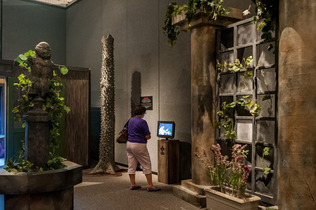 person looking at display screen set in the Wicked plants exhibit, several dramatically let displays feature plants and sculptures