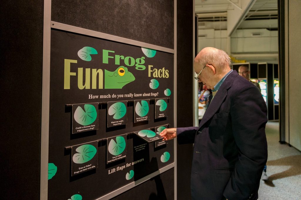 older people looking at interactive frog facts display