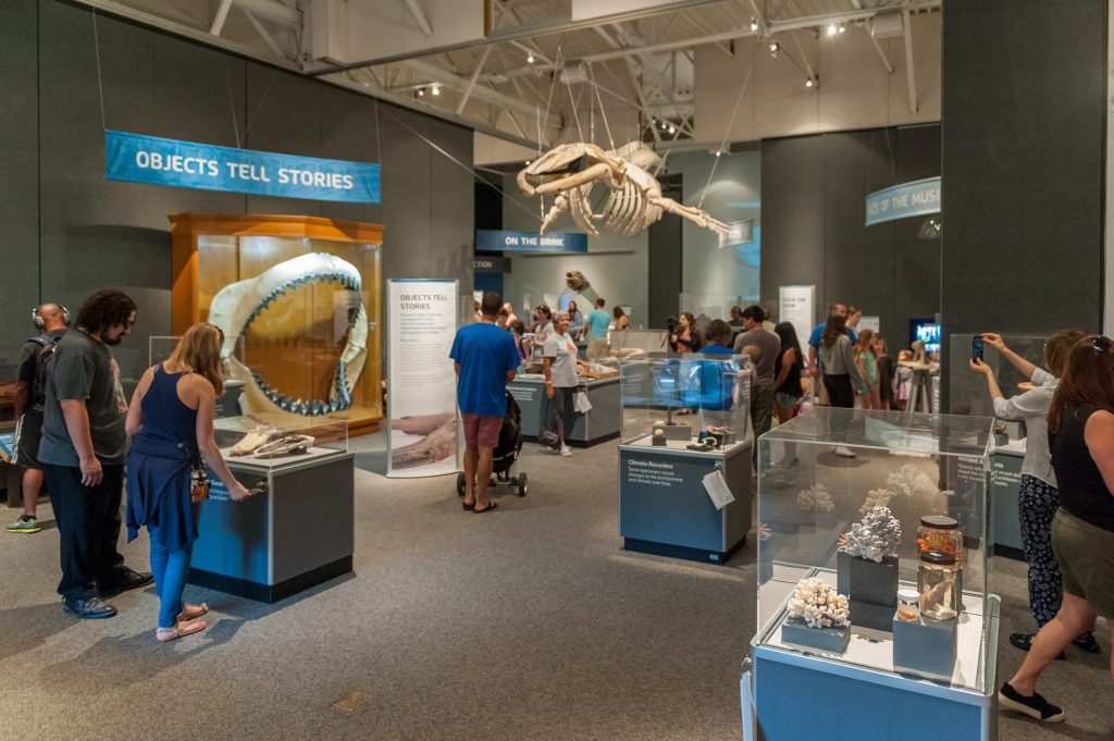 many visitors looking at the many different objects in the 100 years exhibit