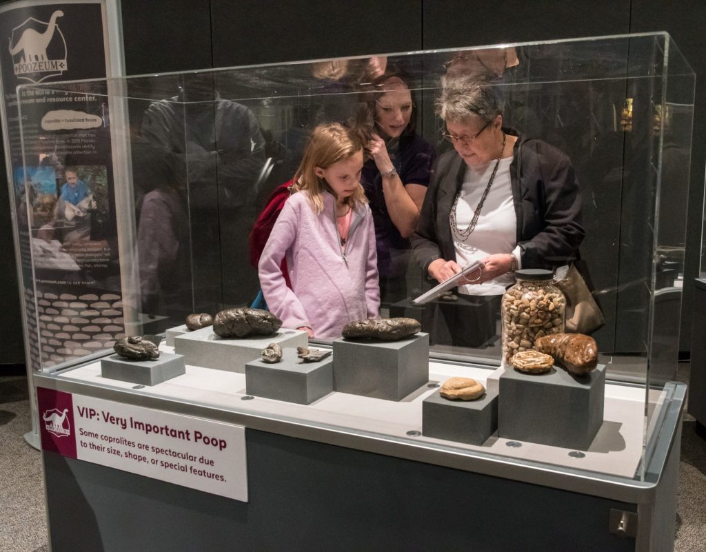 visitors read information about items in a large display case.