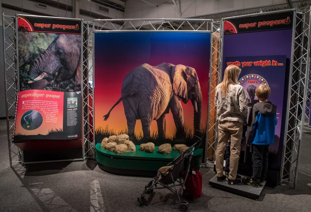 two people stand at interactive display