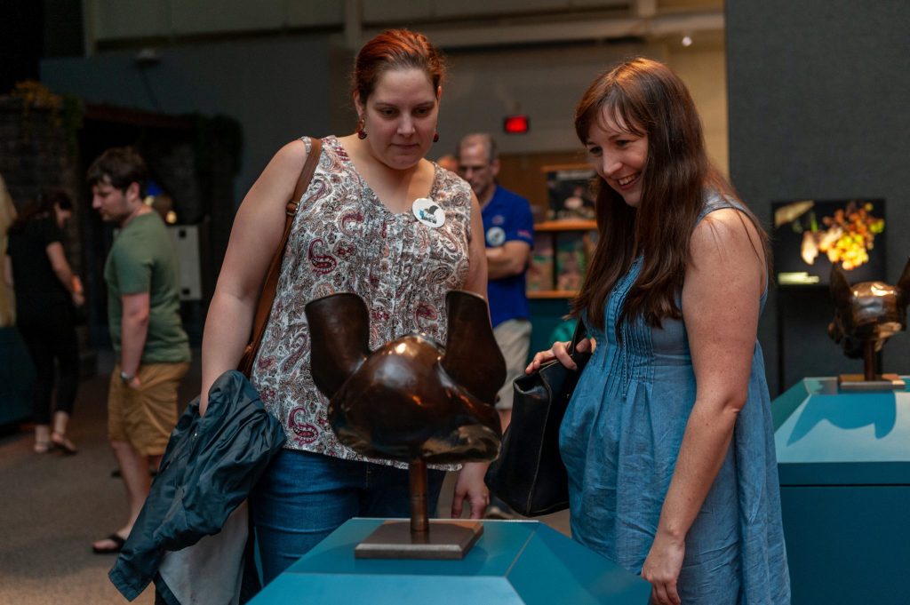 people looking at items on display in the bat exhibit