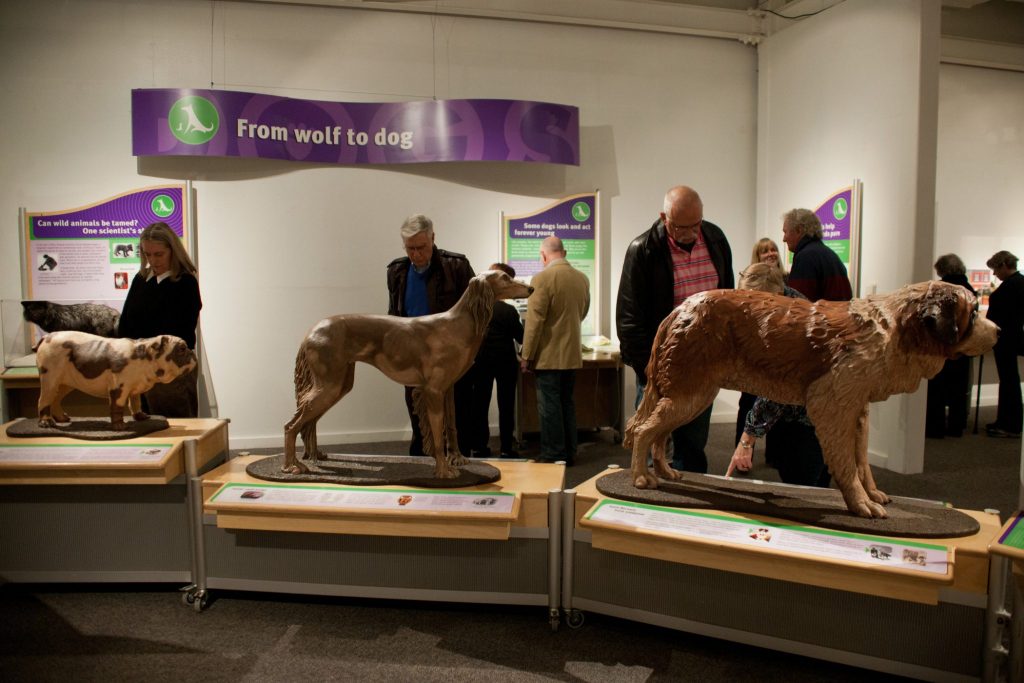 many people looking at the displays including several fabricated dogs, in the exhibit