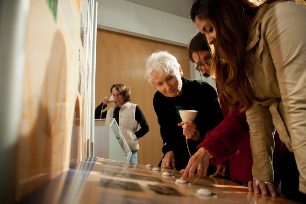 visitors looking at display with push buttons