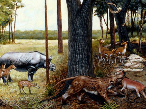 painting showing small deer-like mammals, a rhino and a large cat predator at the verge of a grassland changing to a forest