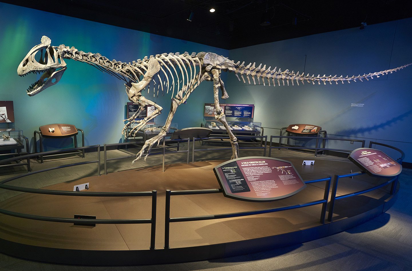 Antarctic Dinosaurs – Exhibits