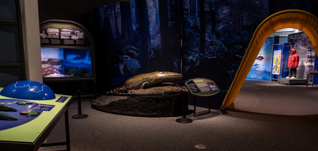 many items of display in the Antarctic Dinosaurs exhibit