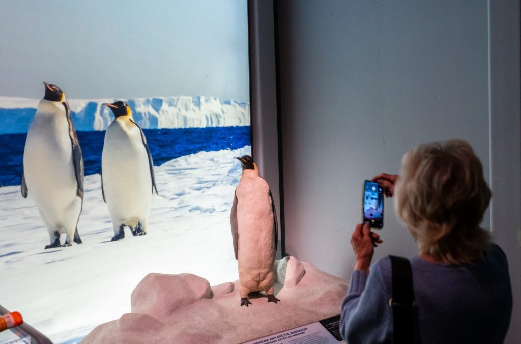 exhibit visitor using a cell phone to a take a photo of the model penguin