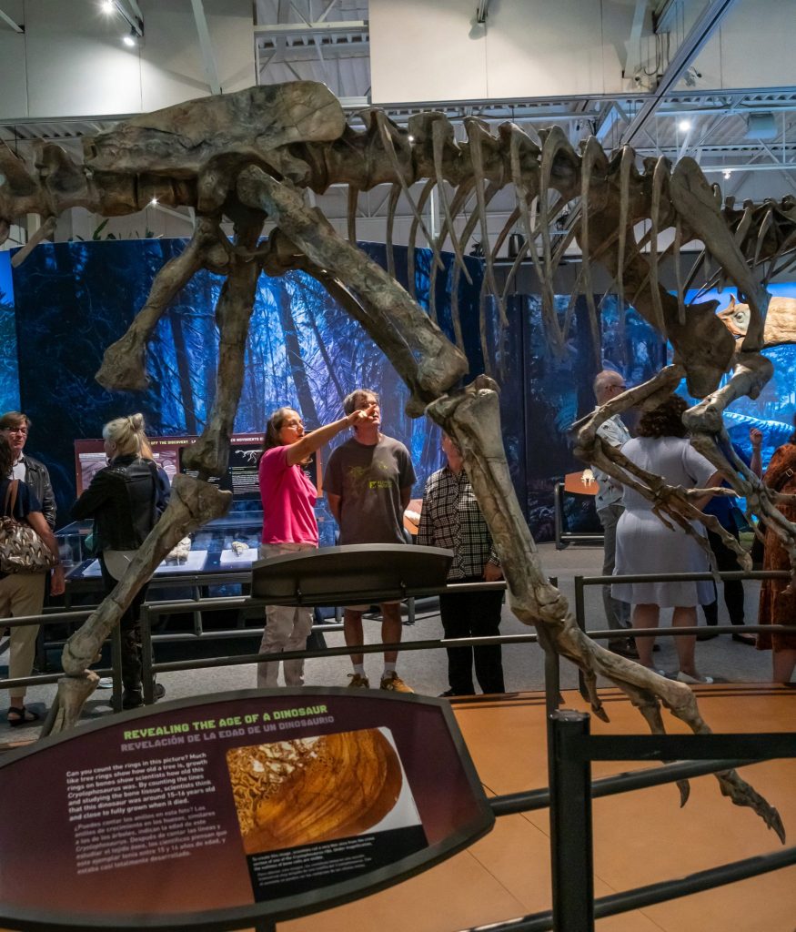 Visitors in the Antarctic Dinosaurs exhibit looking at the large articulated fossils. A person in a pink shirt is pointed at the tall fossil