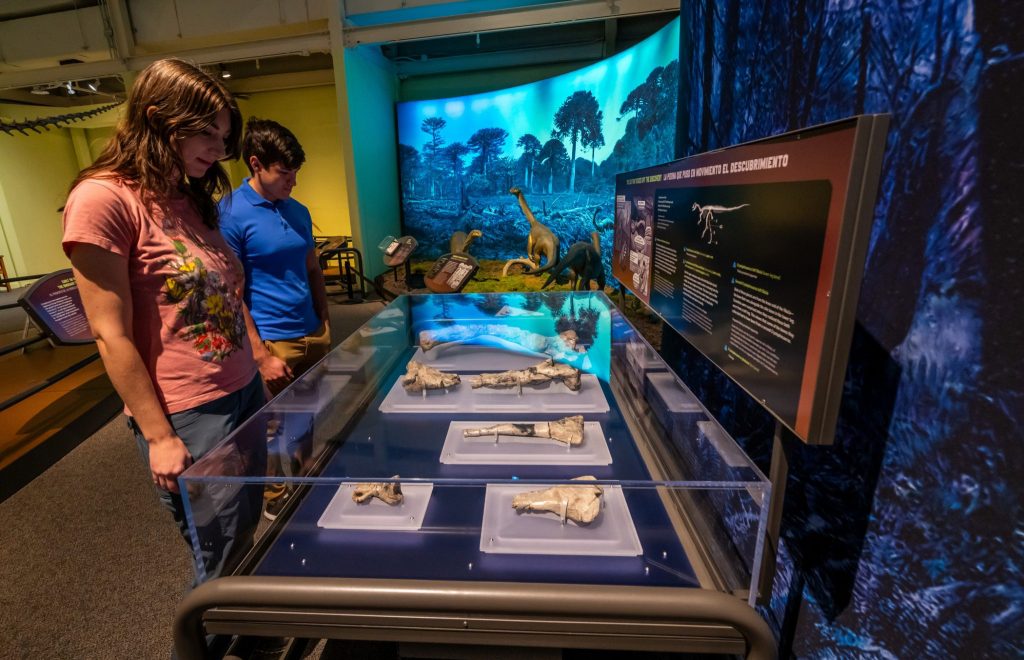 visitors looking at fossils on display