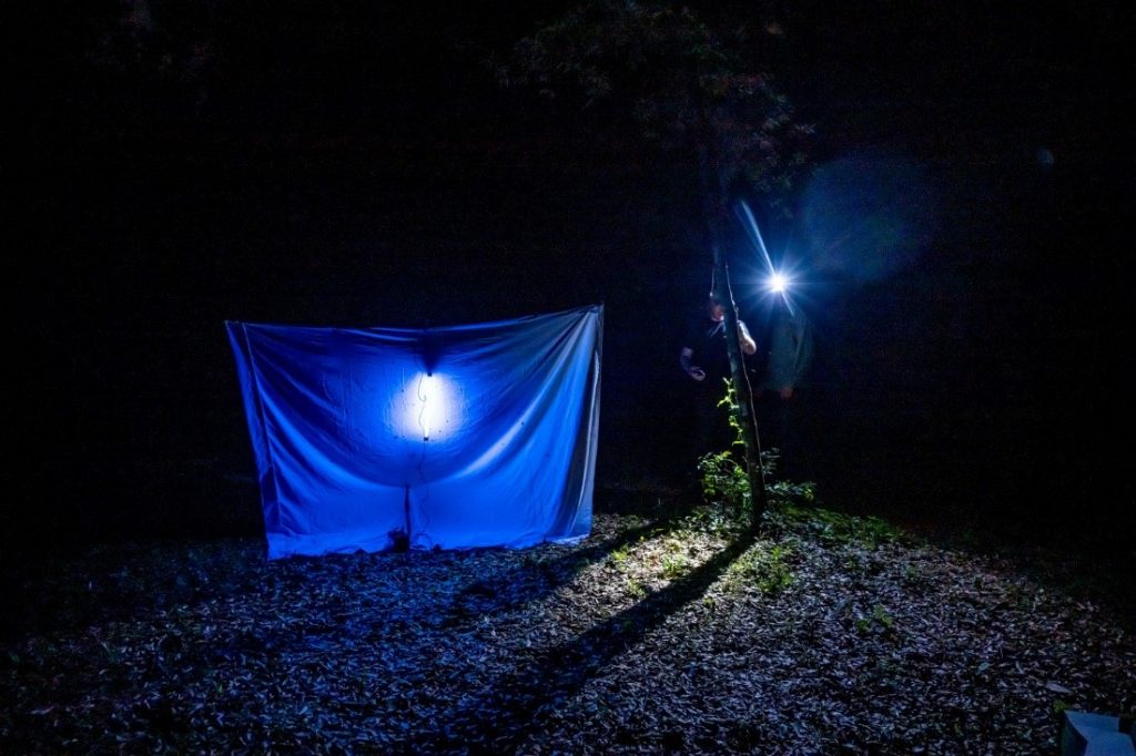 A blue light and a hanging sheet outdoors