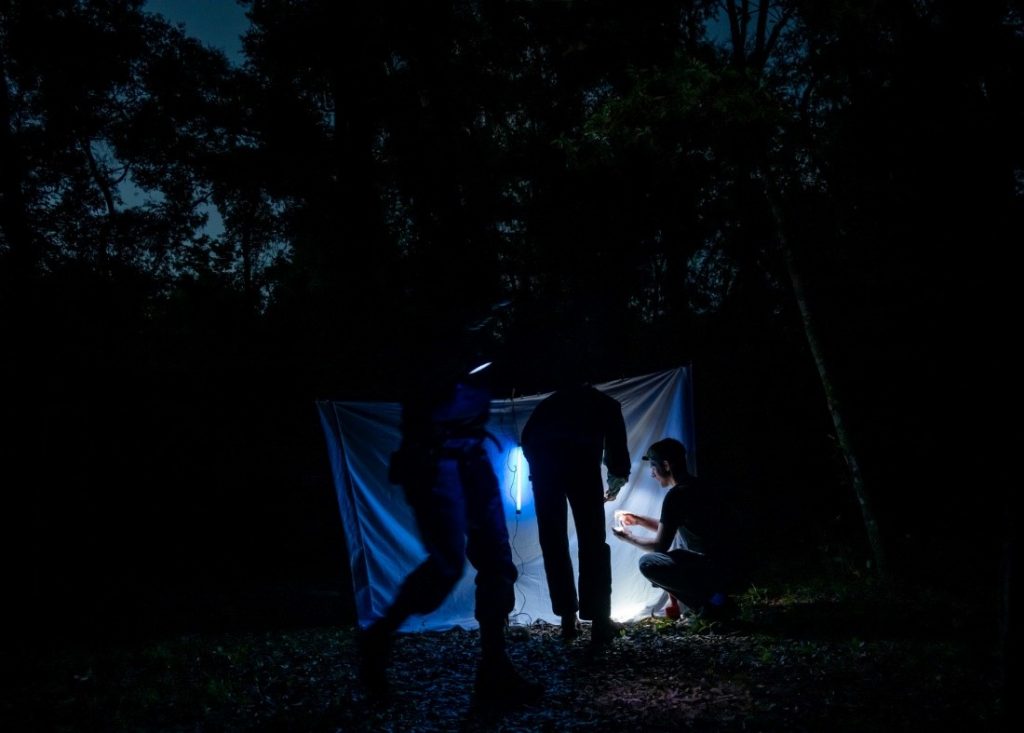 A group of people in front of a light and hanging sheet at night
