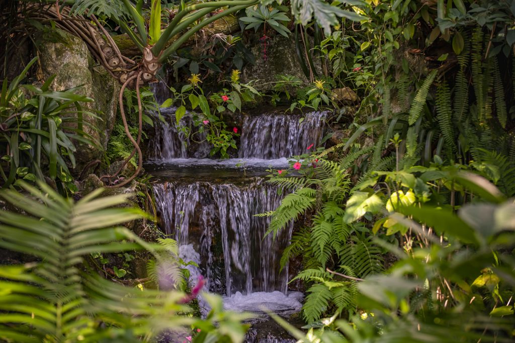 a waterfall with several layers is cascading through a jungle-like garden space