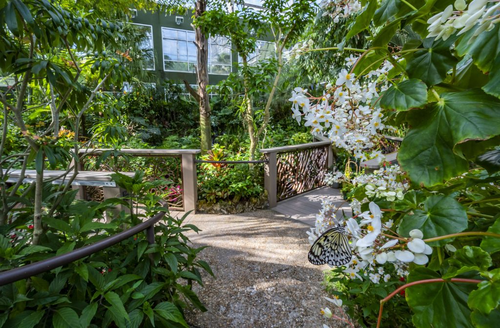 two paths converge in a manicured lush garden with sunlight streaming across the gravel and railings