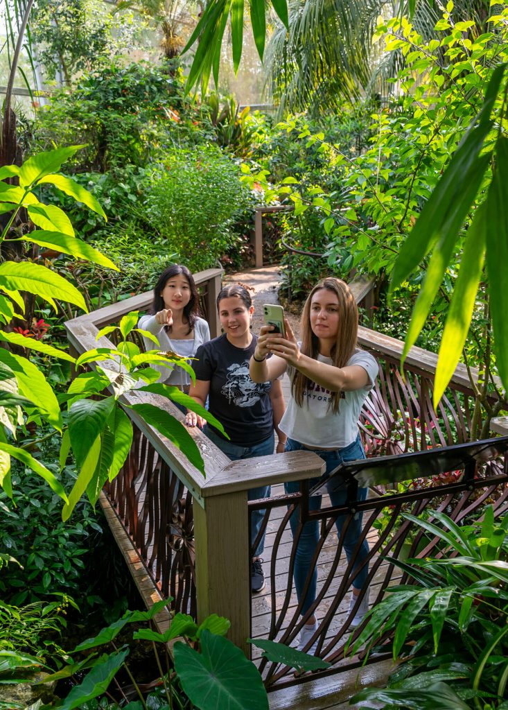 several young people are standing in a walkway with wooden railings surrounded by a lush garden